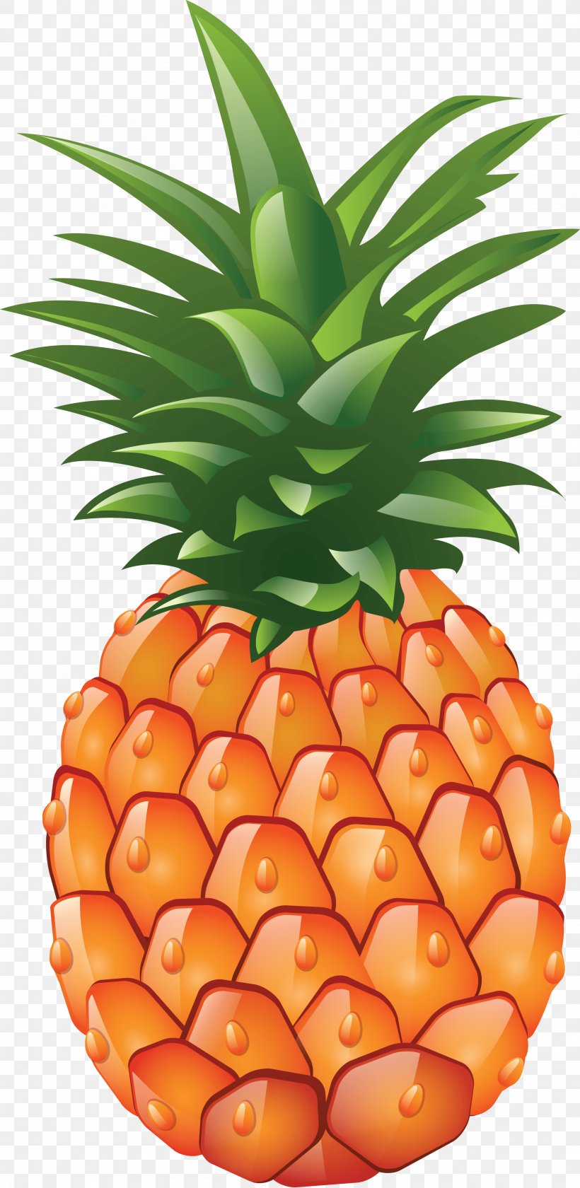 Pineapple Clip Art, PNG, 2661x5455px, Pineapple, Ananas, Bromeliaceae, Food, Fruit Download Free