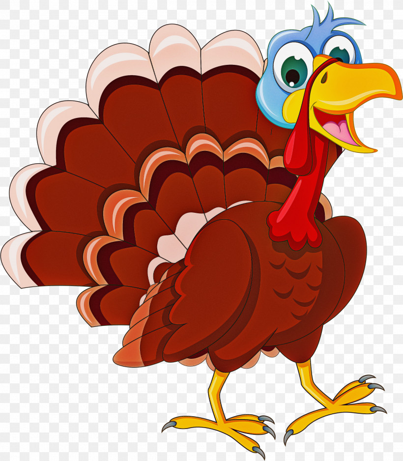 Thanksgiving, PNG, 2621x3000px, Bird, Beak, Cartoon, Chicken, Flightless Bird Download Free