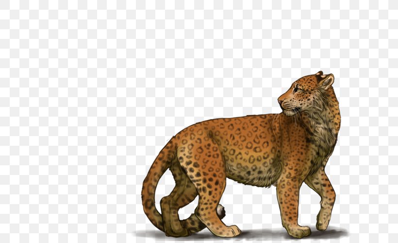 Cheetah Leopard Puma Terrestrial Animal Wildlife, PNG, 640x500px, Cheetah, Animal, Animal Figure, Big Cats, Carnivoran Download Free