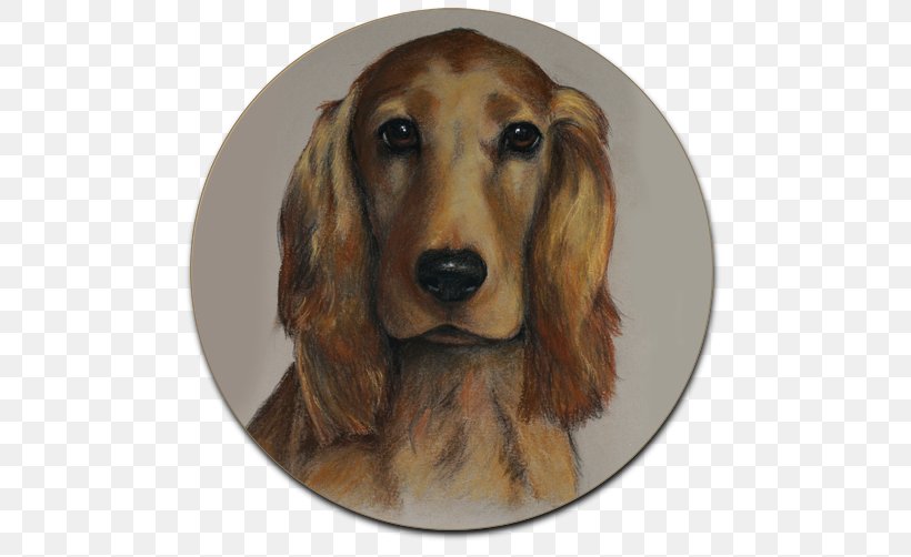 Dachshund English Cocker Spaniel Ute Reinhardt Dog Breed Painting, PNG, 500x502px, Dachshund, Carnivoran, Companion Dog, Dog, Dog Breed Download Free
