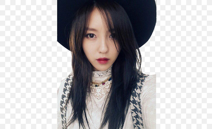 Hyomin T-ara K-pop, PNG, 500x500px, Watercolor, Cartoon, Flower, Frame, Heart Download Free