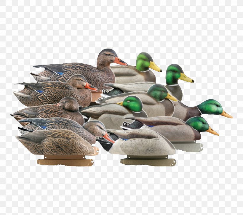 Mallard Duck Decoy Goose, PNG, 1600x1417px, Mallard, Anatomy, Beak, Bird, Canada Goose Download Free