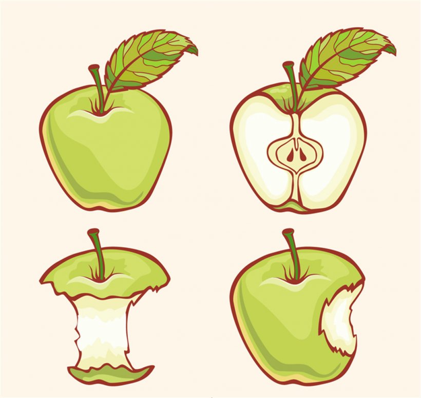Apple Adobe Illustrator Illustration, PNG, 1024x967px, Apple, Artwork, Cartoon, Flowering Plant, Food Download Free