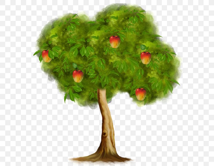 Apples Clip Art, PNG, 600x636px, Apples, Apple, Branch, Evergreen, Flowerpot Download Free
