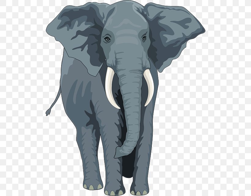 Asian Elephant African Elephant Elephantidae The Elephants Clip Art, PNG, 522x640px, Asian Elephant, African Elephant, Animal, Cattle Like Mammal, Elephant Download Free