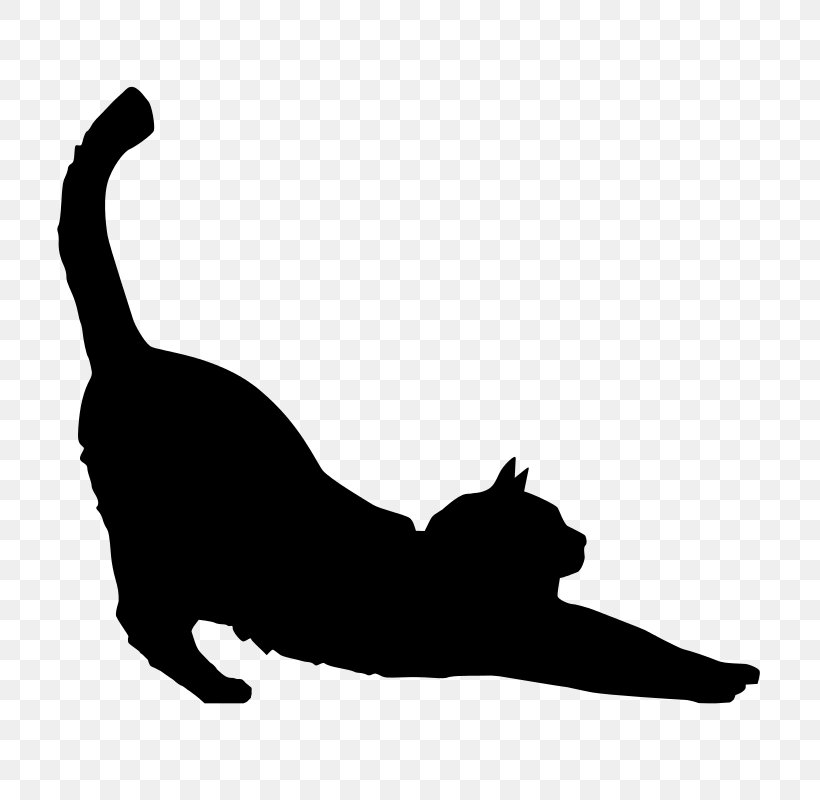 Black Cat Silhouette Kitten Clip Art, PNG, 800x800px, Cat, Black, Black And White, Black Cat, Carnivoran Download Free