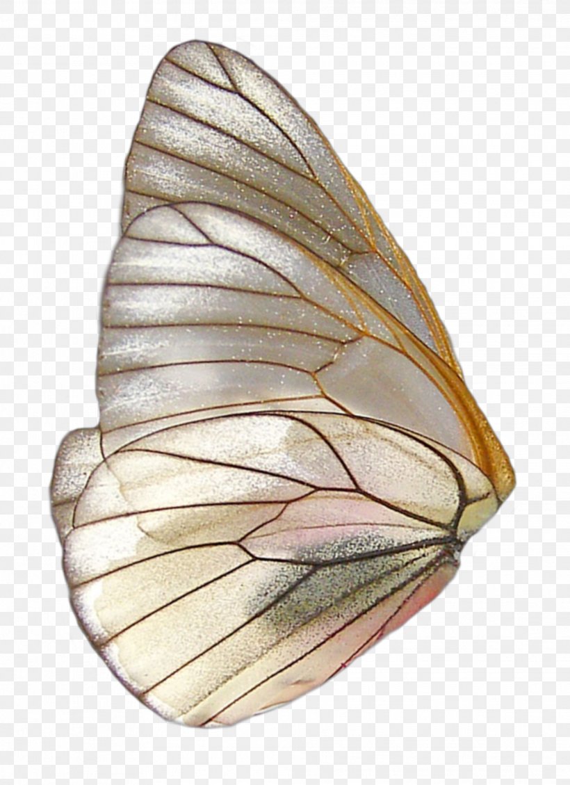 Fairy Wings Image Butterfly, PNG, 2029x2795px, Fairy, Butterfly, Fairy Wings, Image Editing, Information Download Free