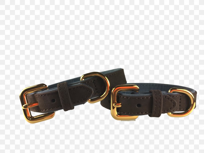 Belt Dog Collar Buckle, PNG, 2365x1773px, Belt, Belt Buckle, Belt Buckles, Buckle, Collar Download Free