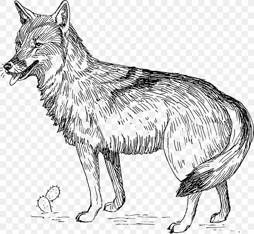 Coyote Clip Art, PNG, 1920x1766px, Coyote, Artwork, Black And White, Carnivoran, Cartoon Download Free