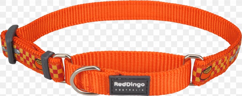 Dingo Longdog Dog Collar Martingale, PNG, 3000x1195px, Dingo, Cat, Collar, Dog, Dog Collar Download Free
