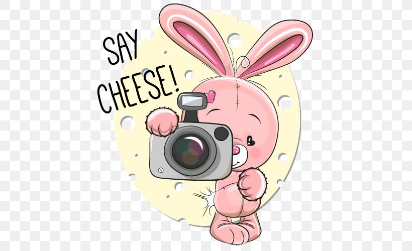 Say Cheese Photography Illustration, PNG, 500x500px, Watercolor, Cartoon, Flower, Frame, Heart Download Free