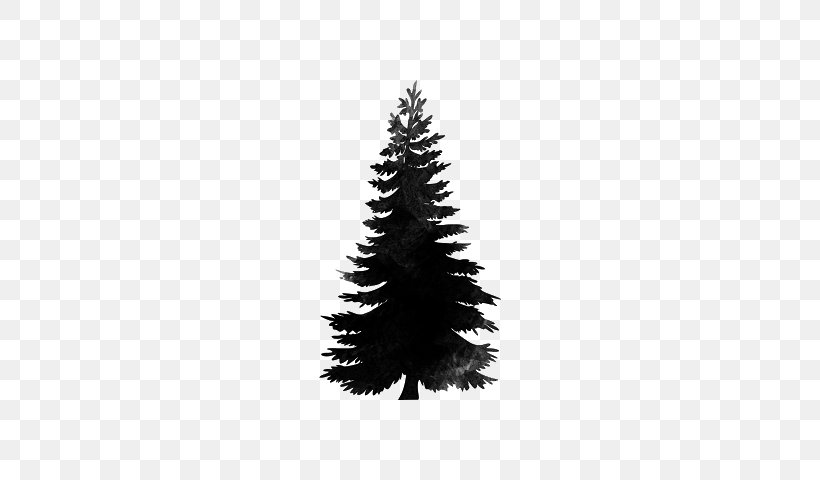 Spruce Christmas Tree Stone Pine Douglas Fir, PNG, 640x480px, Spruce, Abies Alba, Black And White, Christmas Decoration, Christmas Ornament Download Free