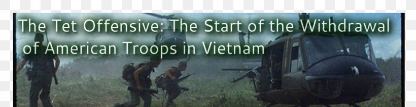 Tet Offensive South Vietnam United States War Lunar New Year, PNG, 1019x264px, Tet Offensive, Advertising, Communist State, Ecosystem, Grass Download Free