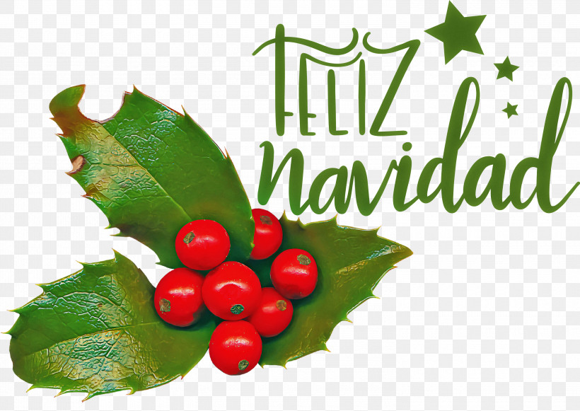 Feliz Navidad Merry Christmas, PNG, 3000x2127px, Feliz Navidad, Aquifoliales, Barry M, Biology, Fruit Download Free