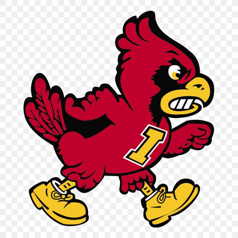 Iowa State University Iowa State Cyclones Football Iowa State Cyclones Mens Basketball Iowa State Cyclones Softball Cy The Cardinal, PNG, 1024x1024px, Watercolor, Cartoon, Flower, Frame, Heart Download Free