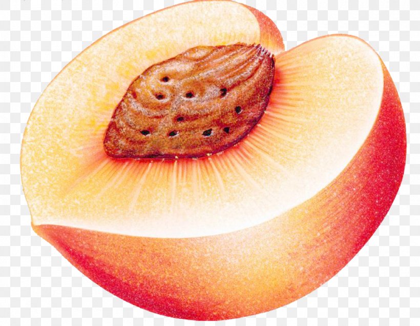 Peach Auglis, PNG, 1000x776px, Peach, Auglis, Cdr, Coreldraw, Food Download Free