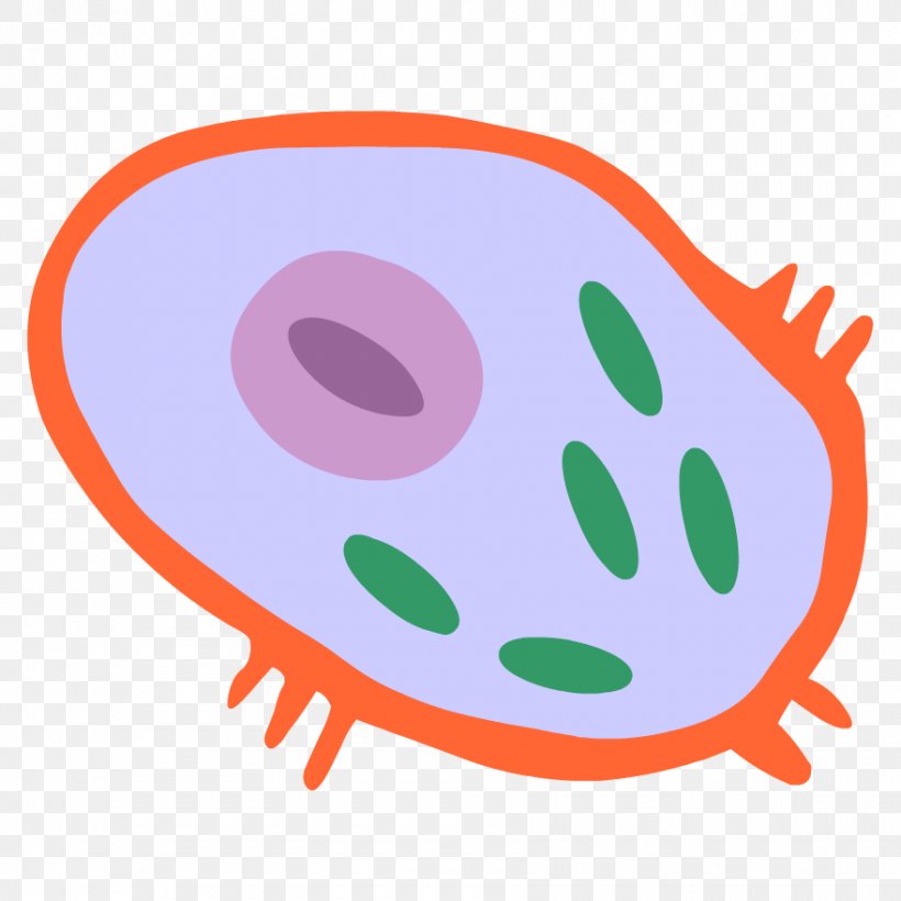Cell Membrane Clip Art Cèl·lula Animal Organism, PNG, 880x880px, Cell, Area, Artwork, Biological Membrane, Biology Download Free