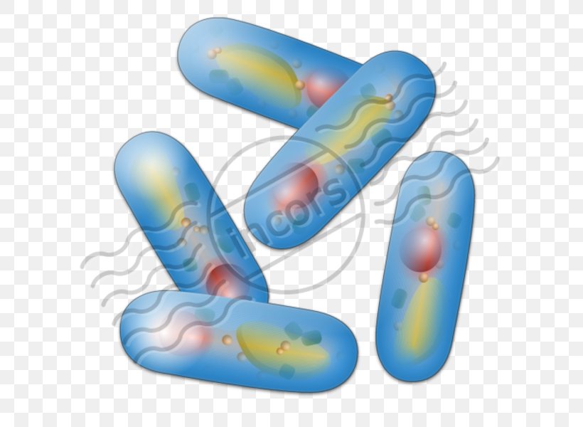 Bacteria Microbiology Clip Art, PNG, 600x600px, Bacteria, Copyright, Data, Finger, Hand Download Free