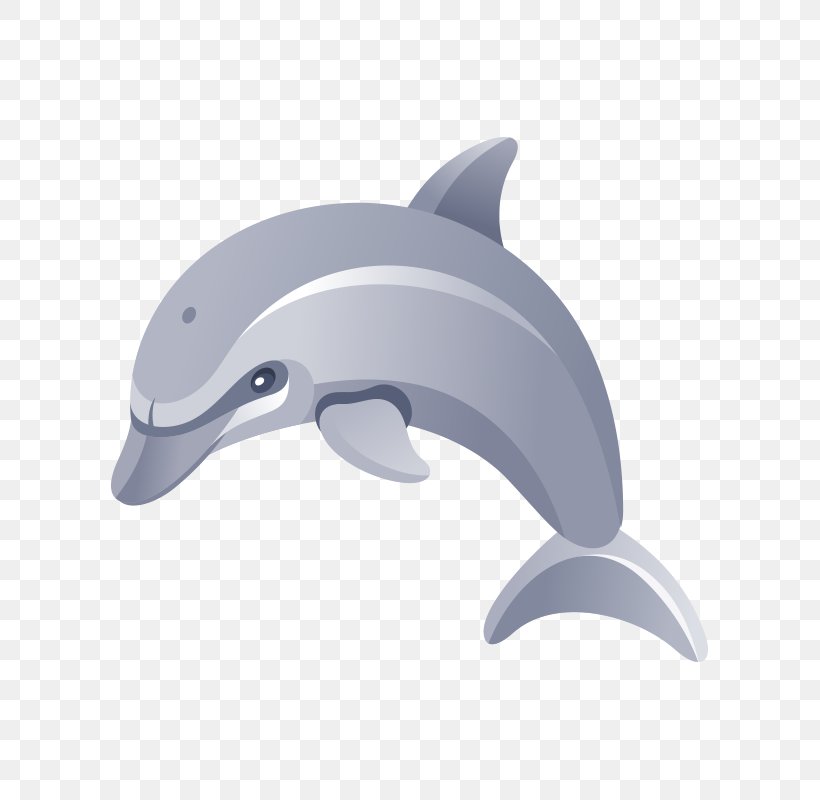 Download Clip Art, PNG, 800x800px, Dolphin, Albom, Black And White, Common Bottlenose Dolphin, Fauna Download Free