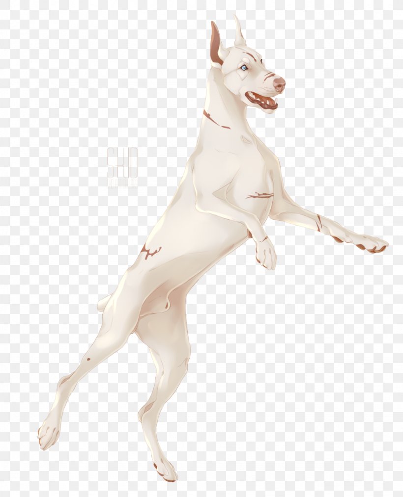 Ibizan Hound Italian Greyhound Dog Breed Carnivora, PNG, 1024x1266px, Ibizan Hound, Animal, Breed, Canidae, Carnivora Download Free