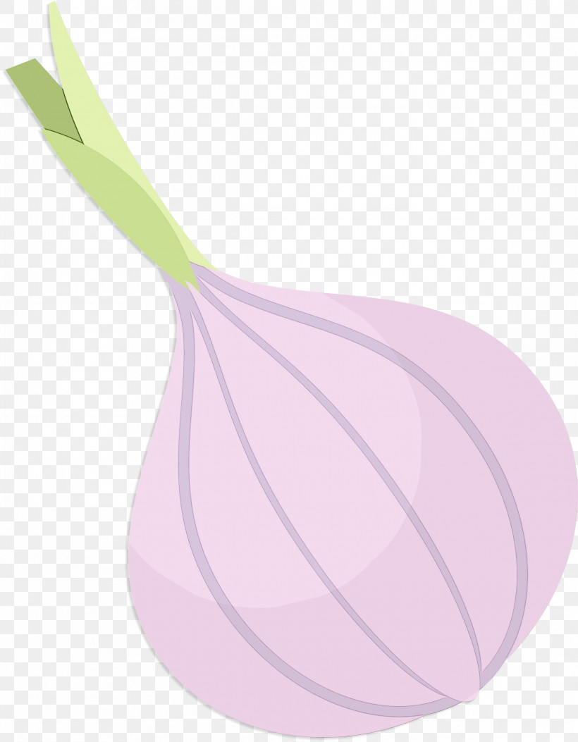 Leaf Purple Line Biology Plants, PNG, 2334x3000px, Spanish Food, Biology, Leaf, Line, Paint Download Free