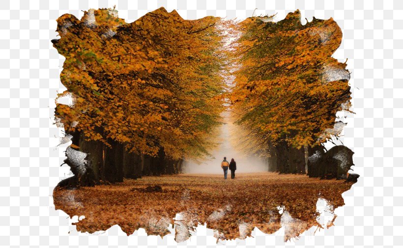 Çocuksun Sen Autumn Clip Art, PNG, 650x505px, Autumn, Digital Image, Leaf, Photography, September Download Free