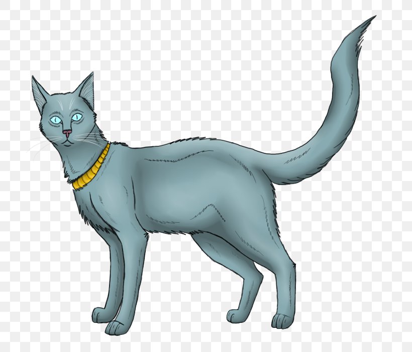 Whiskers Korat Kitten Felidae Drawing, PNG, 800x700px, Whiskers, Animal, Animal Figure, Carnivoran, Cat Download Free