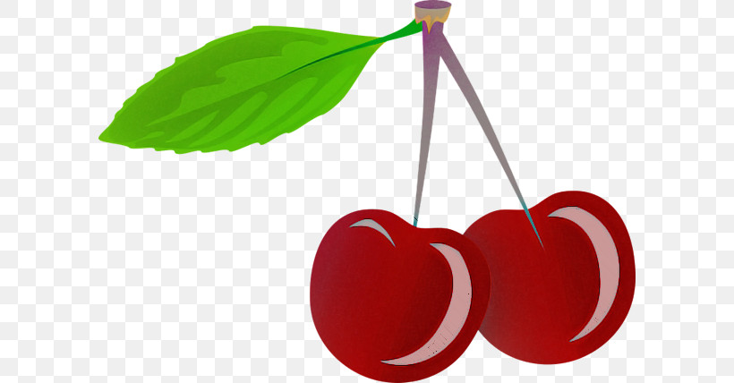 Cherry Apple Apples Fruit Plum, PNG, 600x428px, Cherry, Apple, Apples, Fruit, Pear Download Free