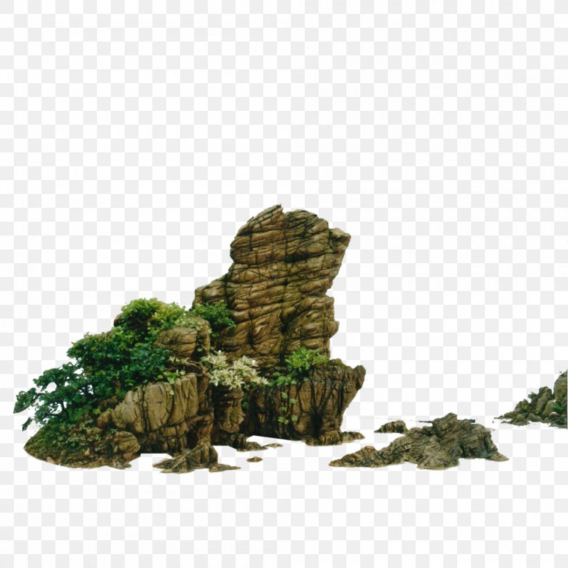 Landscape Bonsai Nature, PNG, 1000x1000px, Landscape, Bonsai, Grass, Houseplant, Nature Download Free