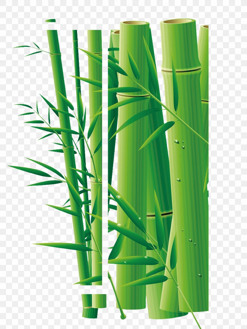 Daqing Bamboo Adobe Illustrator, PNG, 3000x4000px, Daqing, Art, Bamboe, Bamboo, Cdr Download Free