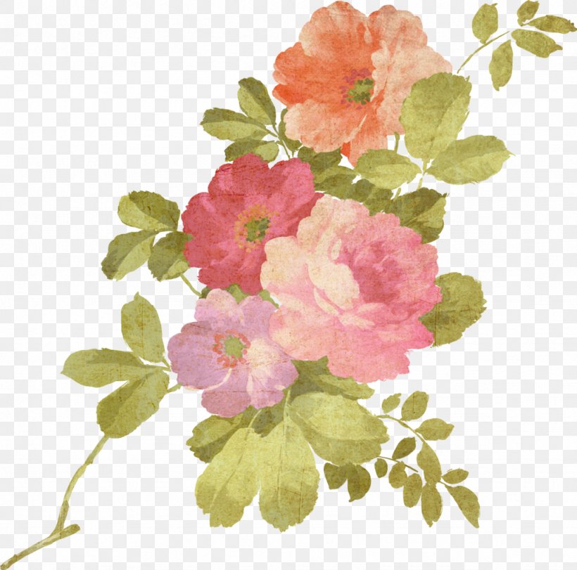 Watercolour Flowers Watercolor Painting, PNG, 1024x1013px, Watercolour Flowers, Annual Plant, Art, Blossom, Branch Download Free