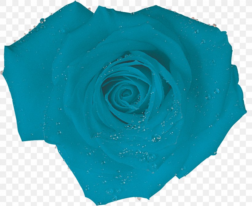 Blue Rose Turquoise Blue Rose Aqua, PNG, 1130x928px, Rose, Aqua, Azure, Blue, Blue Rose Download Free