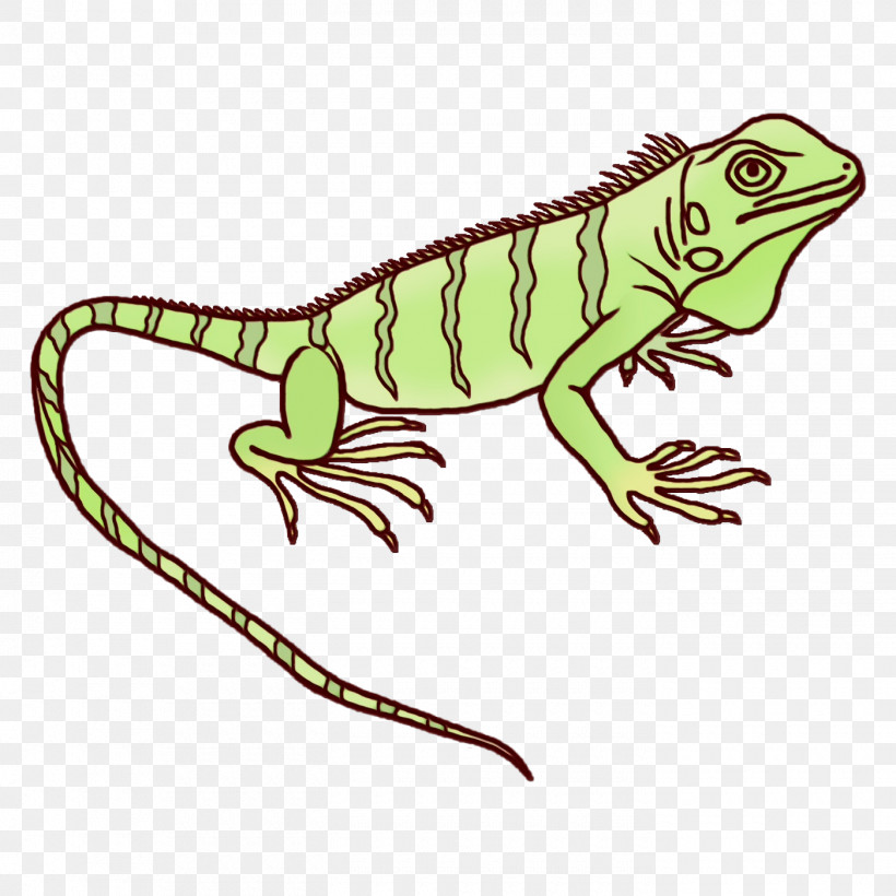 Common Iguanas Amphibians Iguanas Green Iguana Character, PNG, 1400x1400px, Watercolor, Amphibians, Biology, Character, Character Created By Download Free