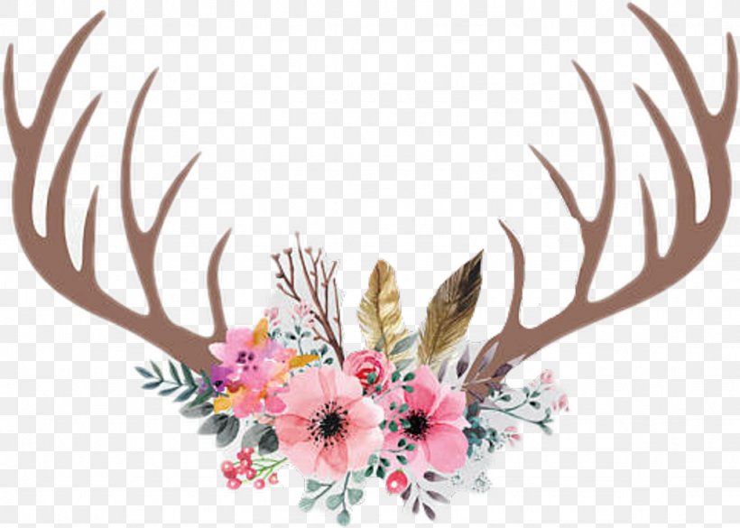 Deer Antler Clip Art Flower Horn, PNG, 1024x731px, Deer, Antler, Blanket, Feather, Floral Design Download Free