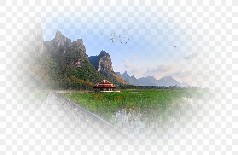 Sam Roi Yot District Mount Scenery Handbag Desktop Wallpaper, PNG, 800x534px, Watercolor, Cartoon, Flower, Frame, Heart Download Free
