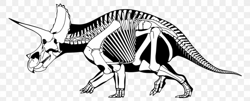 Triceratops Tyrannosaurus Maiasaura Brachyceratops Stegosaurus, PNG, 1024x417px, Triceratops, Anatomy, Animal Figure, Black And White, Bone Download Free