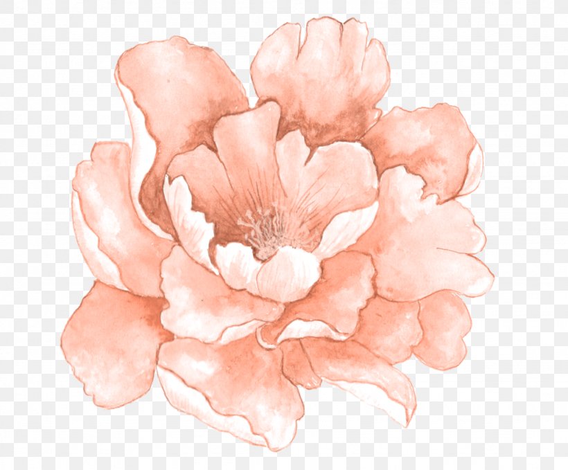 Floral Png Pink - Get Images