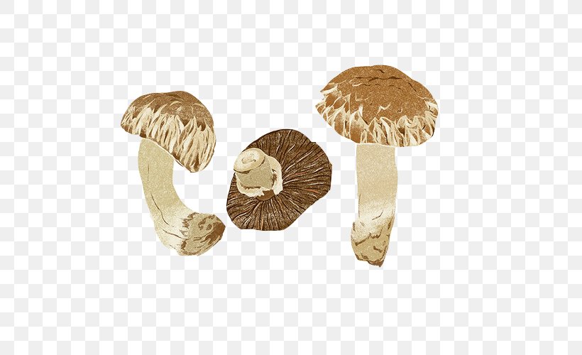 Zongzi Mushroom Fungus Painting, PNG, 500x500px, Zongzi, Agaricaceae, Agaricomycetes, Agaricus, Champignon Mushroom Download Free