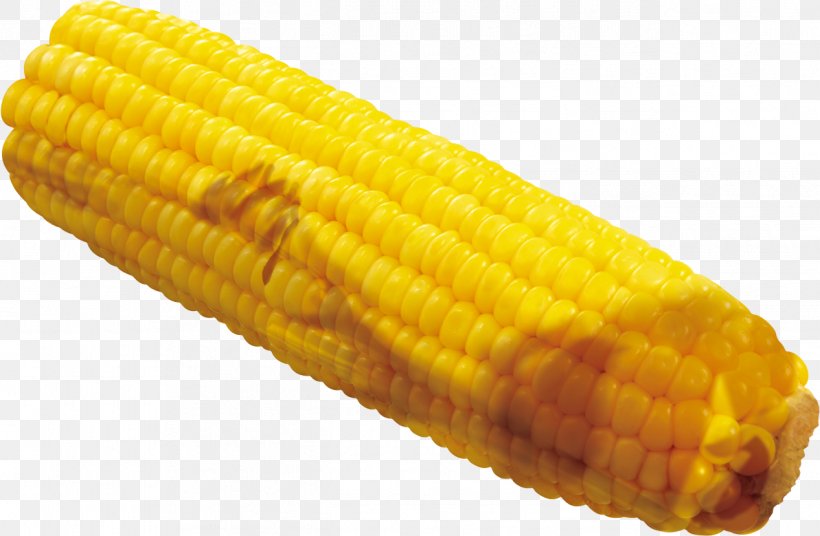 Corn On The Cob Maize Crop Google Images, PNG, 1266x829px, Corn On The Cob, Commodity, Corn Kernels, Crop, Dish Download Free