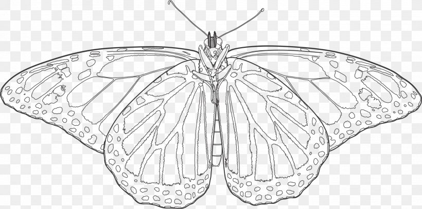 Monarch Butterfly Moth Brush-footed Butterflies Insect, PNG, 2016x1001px, Monarch Butterfly, Artwork, Black And White, Brush Footed Butterfly, Brushfooted Butterflies Download Free