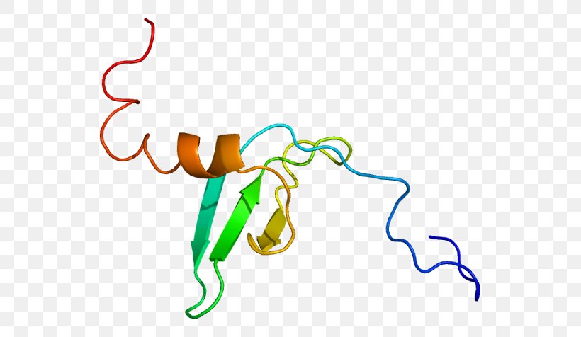 CBX1 Heterochromatin Protein 1 Ki-67 Histone, PNG, 587x476px, Watercolor, Cartoon, Flower, Frame, Heart Download Free