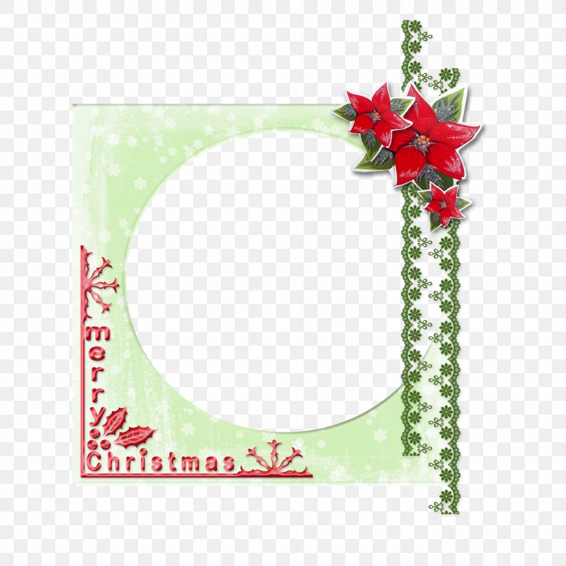 Christmas Ornament Christmas Day Mitosis Floral Design Arrest, PNG, 1600x1600px, Christmas Ornament, Aquifoliaceae, Arrest, Christmas Day, Christmas Decoration Download Free
