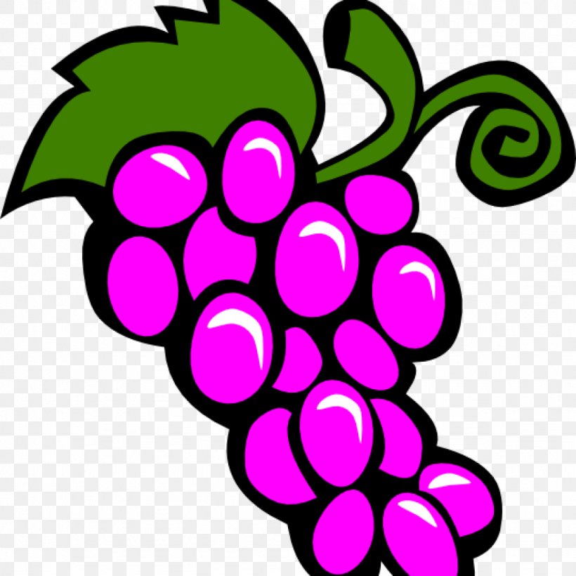 Common Grape Vine Clip Art Wine Vector Graphics, PNG, 1024x1024px, Common Grape Vine, Artwork, Cartoon, Drawing, Flower Download Free