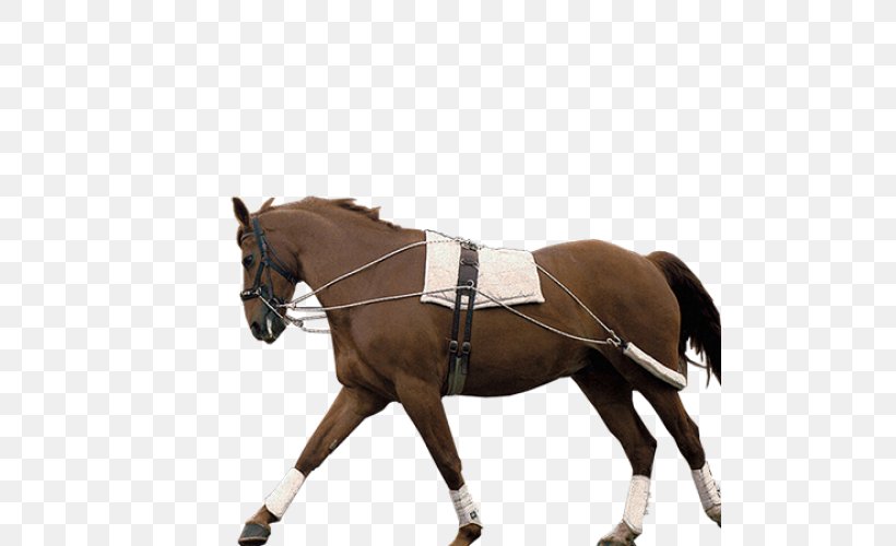 Hunt Seat Breeching Bridle Saddle Horse Harnesses, PNG, 500x500px, Hunt Seat, Bridle, English Riding, Equestrian, Equestrian Sport Download Free