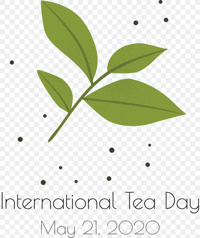 International Tea Day Tea Day, PNG, 2522x3000px, International Tea Day, Biology, Leaf, Line, Meter Download Free
