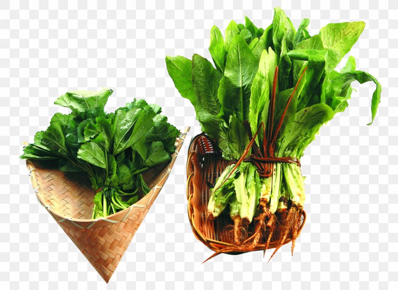 Chard Spring Greens Herb Food, PNG, 1024x748px, Chard, Designer, Flowerpot, Food, Herb Download Free