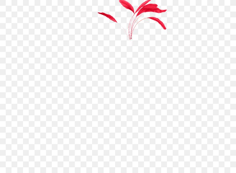 Petal Desktop Wallpaper Computer Leaf Font, PNG, 800x600px, Petal, Computer, Flower, Flowering Plant, Heart Download Free