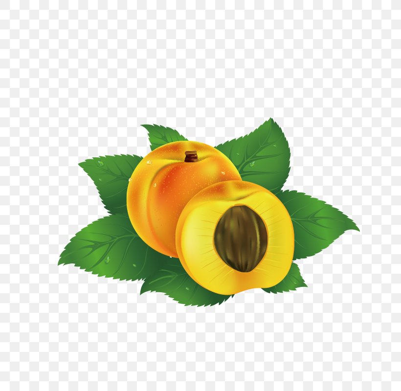 Juice Fruit Peach Clip Art, PNG, 800x800px, Juice, Apple, Apples And Oranges, Apricot, Drawing Download Free