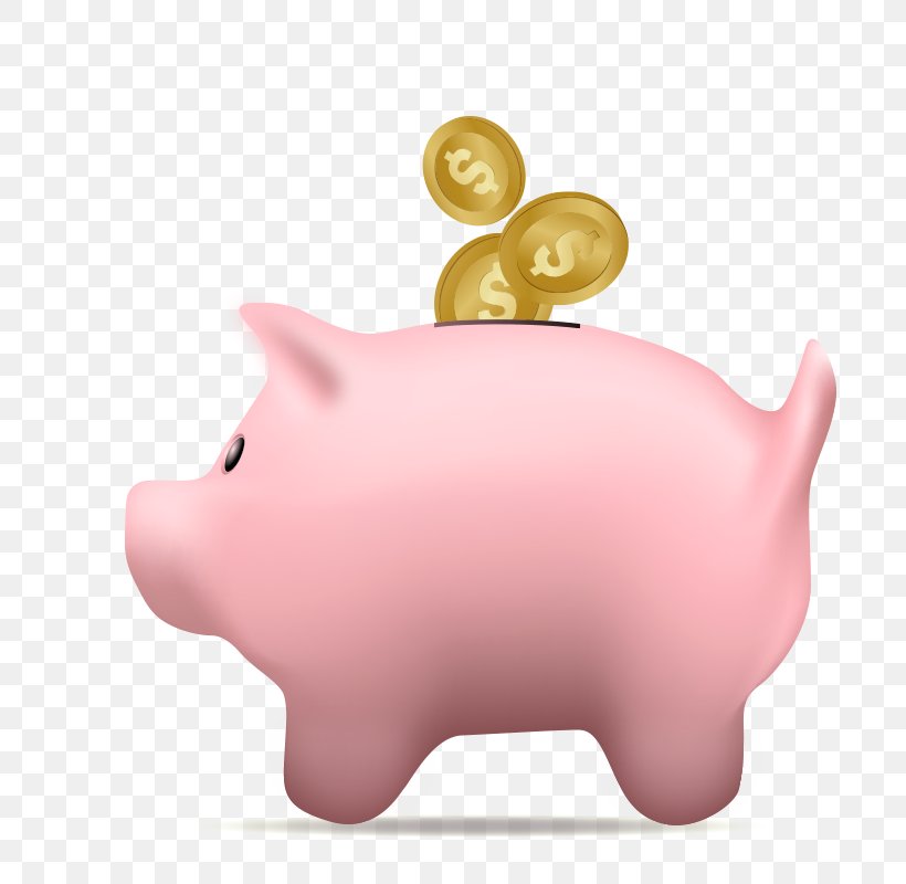 Domestic Pig Piggy Bank Saving, PNG, 800x800px, Domestic Pig, Bank, Coin, Finance, Investment Download Free
