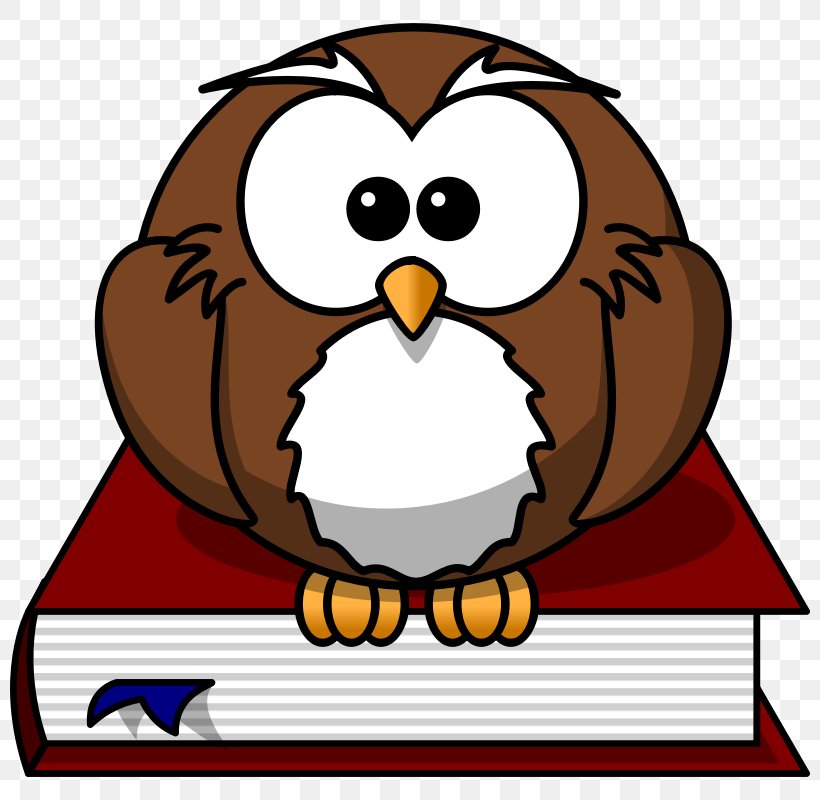 Owl Cartoon Drawing Clip Art, PNG, 800x800px, Owl, Animation, Art, Artwork, Beak Download Free